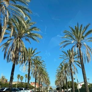 Meet your Posher, Kae